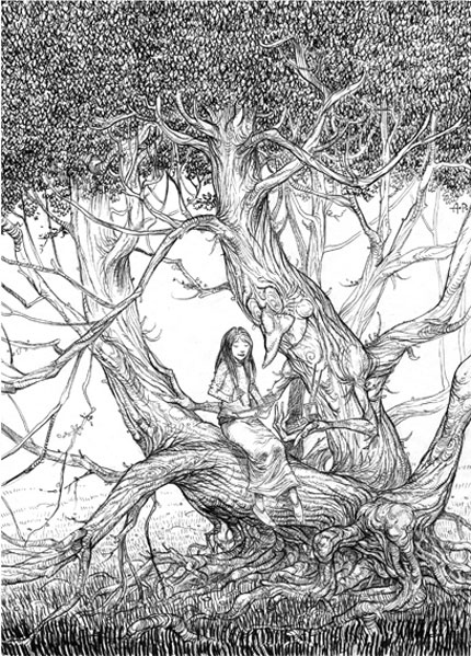 Aaron Pocock iris tree illustration