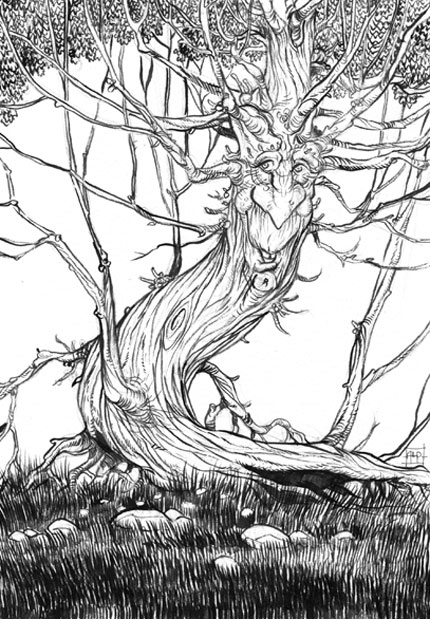 Aaron Pocock tree illustration