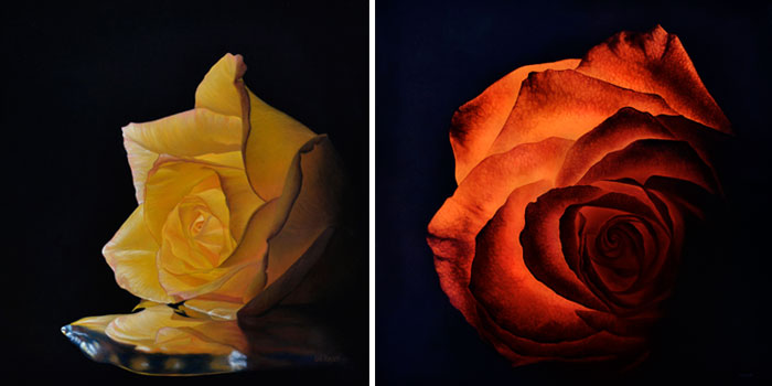 Ian de Raat Rose Paintings